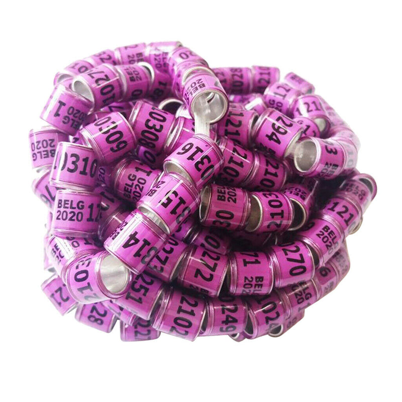 Set of 100 Racing Pigeon Leg Ring 8mm Leg Band Multi-color Purple Belgium