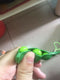 Fun Beans  Toys Keychain Pendants Anti Stress Ball Squeeze Funny Gadgets