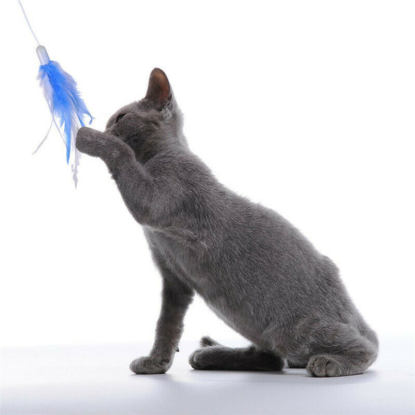 Cat Interactive Toys Electric Rotate Feather Toys Spinning Teaser Wand Moti V2T8
