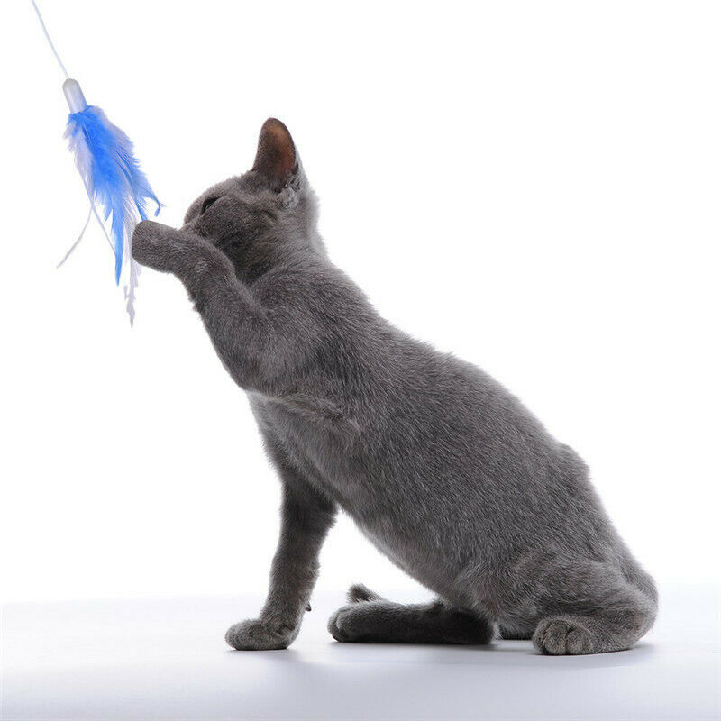 Cat Interactive Toys Electric Rotate Feather Toys Spinning Teaser Wand Moti V2T8