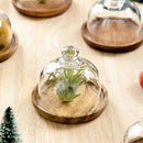 1 pcs Mini Dessert Plate Dessert Cup for Hotel Displaying Kitchen Food Protecte
