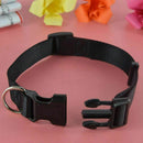 Adjustable Nylon Dog Puppy Collar with Buckle and Clip for Lead (S, Black) H7L5