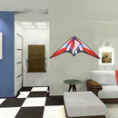 Huge Rainbow Delta Kites for Kids & Adults-47" Wide w/ Stripe Board & Long Favor