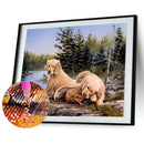 Animal 5D DIY Full Round Drill Diamond Painting Cross Stitch Mosaic (C1417)