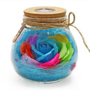 Wishing Bottle LED Romantic Bulb RGB Dimmer Lamp Rose Flower Bottle Light w