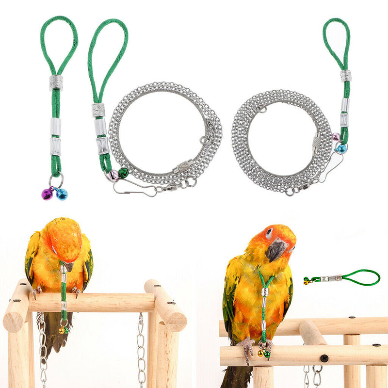 Pet Bird Mirror & Perch +Birds Harness Leash