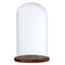 Glass Display Dome Cloche Bell Jar With Wooden Base for DIY Decor_Brown F