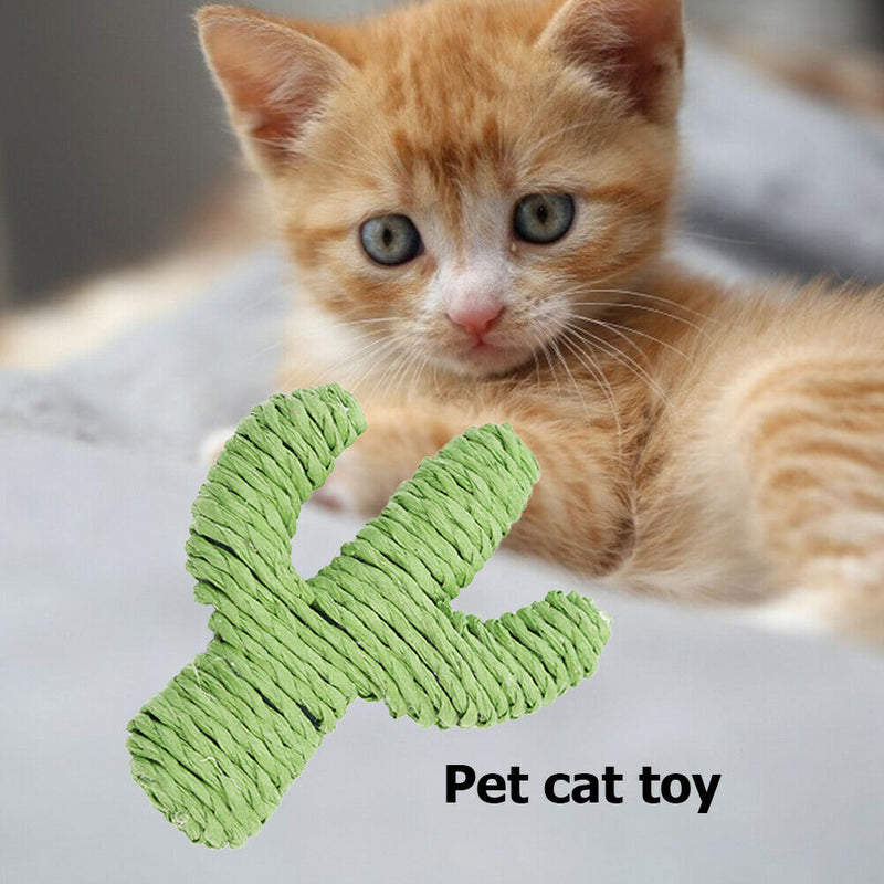 3pcs/set Rope Cactus Funny Dog Cat Molar Chew Bell Sound Toys Pet Supplies