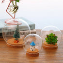 2xDia 12cm Glass Display Cloche Jar Dome Wooden Base Centerpiece