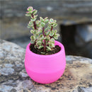 1 pc Plastic Plant Flower Pot Garden Home Office Decor Desktop Flower OZ