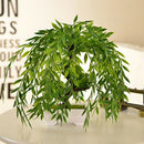 Simulation Guest-Greeting Pine Plant Potted Indoor Green Small Bonsai Decoration