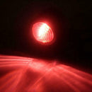 Motorcycle Rear Tail Brake Stop Light Lamp For Chopper Bobber CAFE RACER