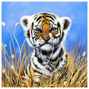 5D DIY Full Drill Diamond Painting Small Tiger Cross Stitch Embroidery Kits