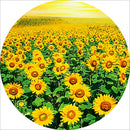 Sunflower 5D DIY Full Round Drill Diamond Painting Mosaic Decor Kit (QF602)
