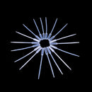 100X 0.5ml Disposable Polyethylene Eye Dropper Set Transfer Graduated PipetteMO