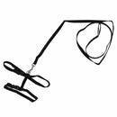 Adjustable Pet Cat Kitten Nylon Lead Leash Harness Set