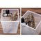 4 Pcs Reptile  Gecko Food And Water Bowls For Small