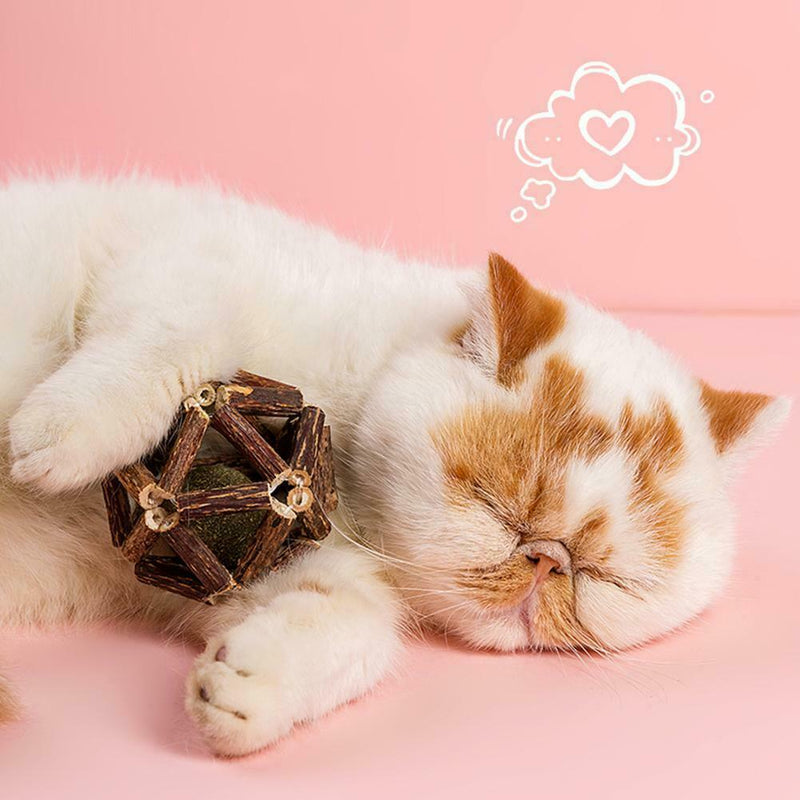Catnip Toys Ball Matatabi Sticks Organic Natural Silvervine Pet Cat Supply Cute