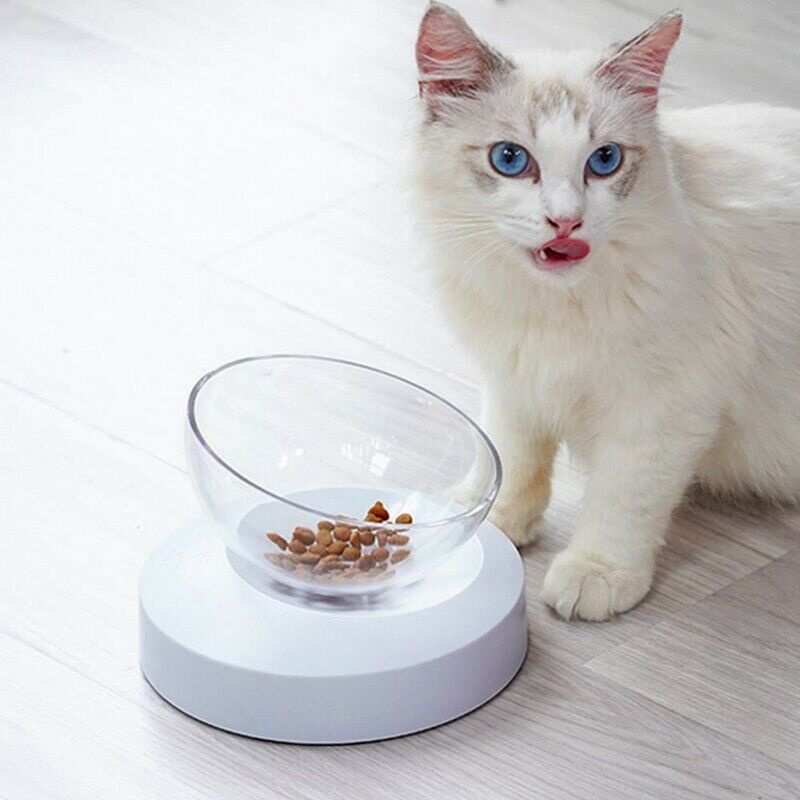 e els pet Pet Bowls for Cats and Small Dogs - Plastic 20 Degree Tilted ElevaL4R9