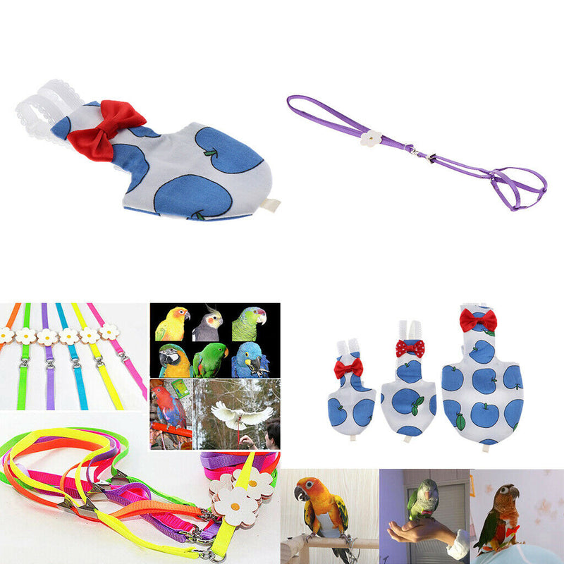 Soft Convenient Comfort Cute Bird Parrot Diaper Purple Birds Travel Walking