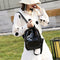 Clear Transparent Women Backpacks Jelly Teenage Girl Boys Schoolbag (Black)