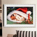 5D DIY Full Drill Diamond Painting Cat Cross Stitch Craft Kit Decor (WX061)