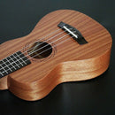 21 Inch Ukulele Soprano Beginner Ukulele Guitar Ukulele Mahogany Neck Delic