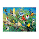 5D Bird Diamond Painting Embroidery DIY Cross Stitch Home Decor 40x30cm