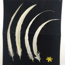 10PCS Dyeing Rooster Tail Feathers Embellishments For Crafts 35-40cm White