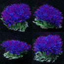 Plastic Artificial Water Green Grass Plant Aquarium Fish Ornament Type Tank I2S4