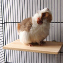 Pet Parrot Bird Parakeet Cage Wood Wooden Perches Stand Platform Toys