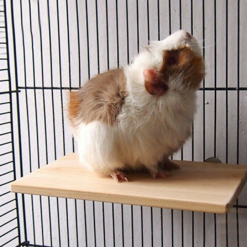 Pet Parrot Bird Parakeet Cage Wood Wooden Perches Stand Platform Toys