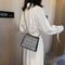 Au2pcs/set Women Woolen Shoulder Messenger Bag Chain Handbag Clutch (Black)