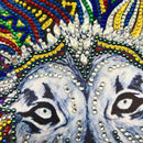 5D DIY Special-shaped Diamond Painting Cross Stitch Craft Kit (R8026 Lion)