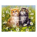 Full Round Drill 5D Diy Diamond Painting "Cartoon Cat" Embroidery Cross Sti X7I7