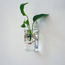 Clear Ball Shape Glass Flower Vase Plant Bottle Home Decor Terrarium Home Office