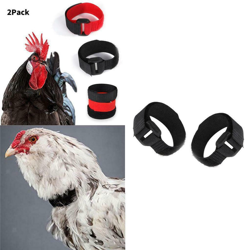 14pcs Rooster Collar Anti Crow Prevent Chicken from Screaming for Duck Black