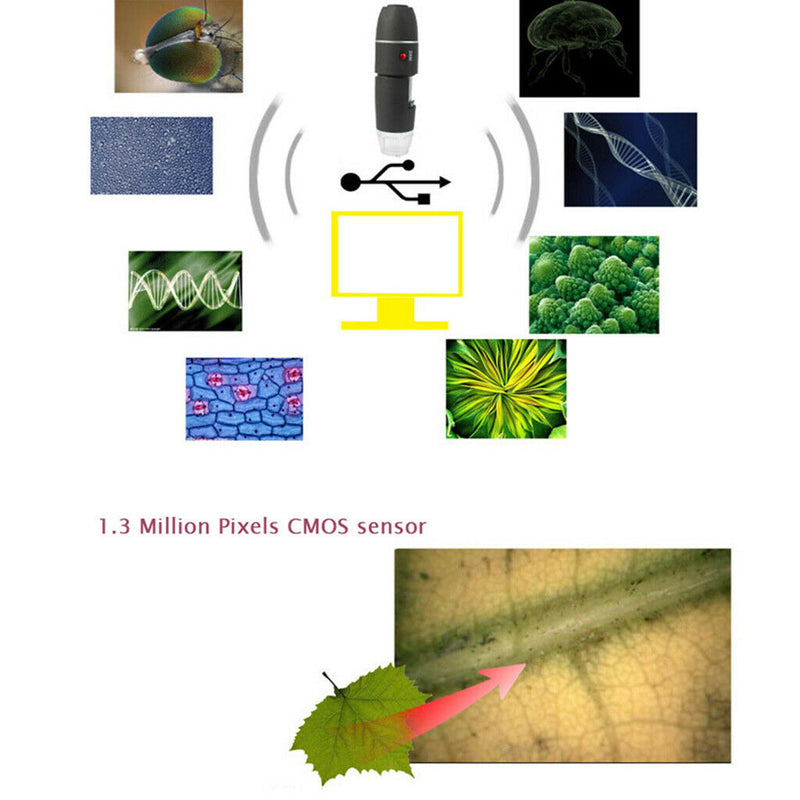 Mini 8-LED Digital USB Microscope 500X With Stand For  Android Mobile