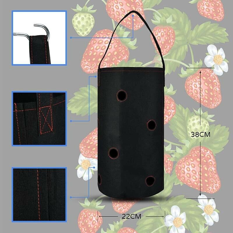 Hanging Strawberry Planter for Strawberry Bare Root Plants(Roots not Includ