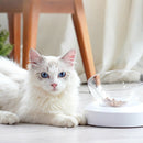 e els pet Pet Bowls for Cats and Small Dogs - Plastic 20 Degree Tilted ElevaL3Y4