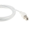 TYPE C OTG Male To Standard USB 2.0 Type B Connector For Printer, Scanner, Hard