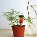 2X Easy Use Automatic Plant Waterer Houseplant Hydrospike Spikes Automatische TE