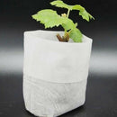 Non-Woven Nursery Bags Plants Grow Bags 100 PCS Biodegradable Seed Starter Bags