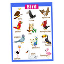Birds~Kids Fun Early Learning Educational Preschool Poster Charts