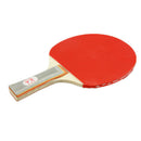 Table Tennis Bats + 3 Ping Pong Balls Set Long Handle Ping Pong Rackets Paddles
