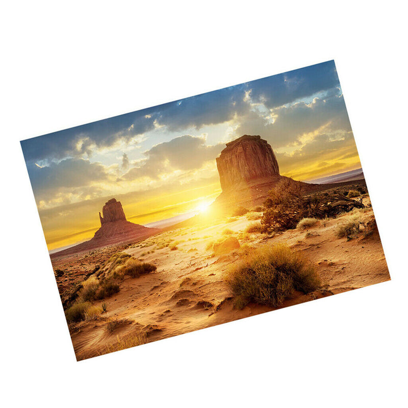 Aquarium   Tank Background Poster Desert Vivarium Decor 122x61cm