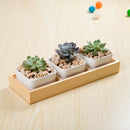 4x Natural Wooden Succulent Plant Flower Bed Pot Through Box Garden Planter