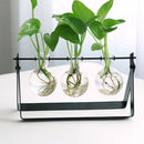 Modern Glass Tabletop Hydroponic Flower Vase With Cast Iron Tray 3 Beaker E