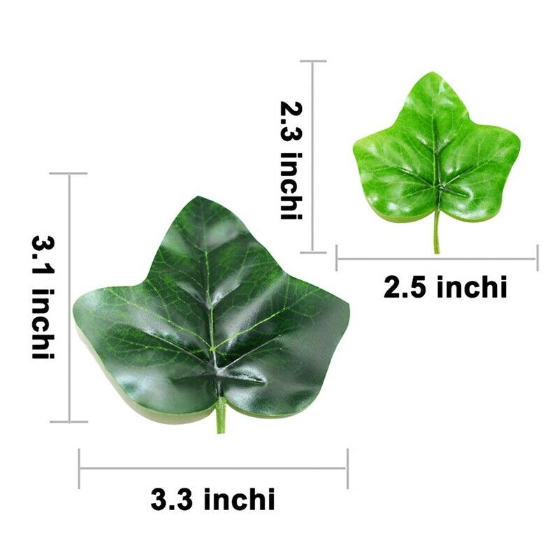 2 Pack Betta Fish Leaf Pad - Improves Betta'S Health By Simulating The Natu R8L8