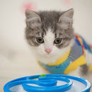 1PCS Cat Tracks Toys Pet Kitten Hunting, Chasing & Exercising Pet Supplies